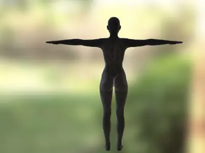 karakter human body 3D model