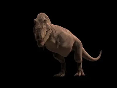Tyrannosaurus rex 3D model 6