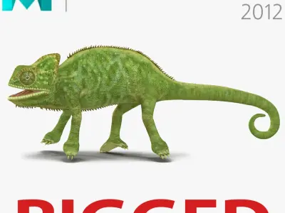 Chameleon Rigged for Maya 3D model