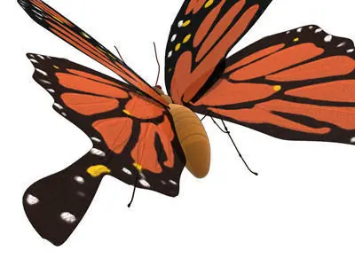 butterfly cartoon 3D model