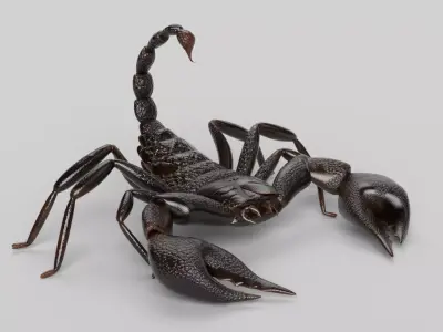 Scorpion 3D model 3