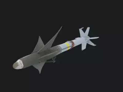 AIM 9 Sidewinder Missile 3D Model 3D model