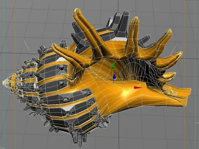 Shell orange and sea 3D model