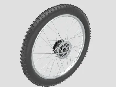 Bicycle Rear Wheel 3D model