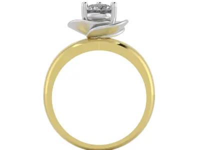 Ring 3 bara 3D model