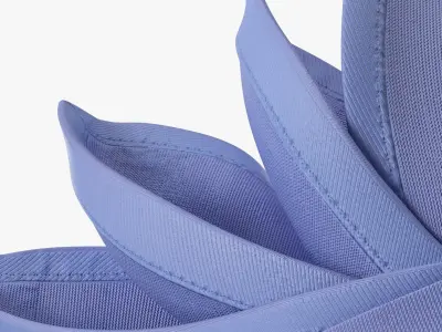 Napkin Folding Flower on Plate Blue 3D model