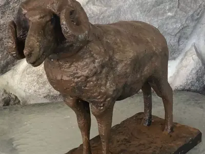 Big Horn Sheep 3D model