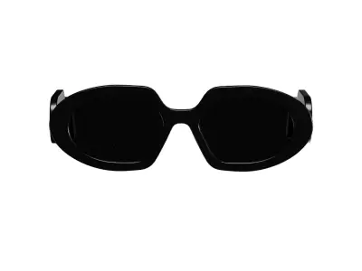 Round Black Sunglasses 3D model