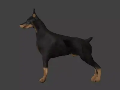 Bull Dog Low-poly 3D model