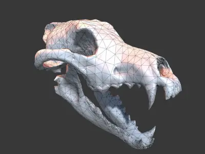 Wolf Skull Low-poly 3D model