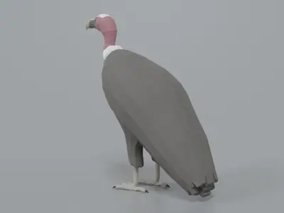 Low Poly Cartoon Vulture Low-poly 3D model