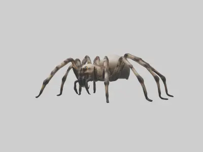 Giant Spider Low-poly 3D model