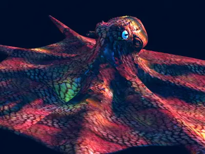 Octopus vulgaris of deep Low-poly 3D model