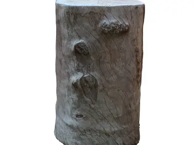 tree truck 16 3D model