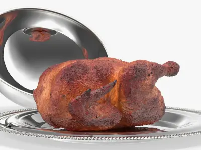  Cloche Cook with Roast Turkey 