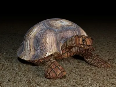 turtle tortoise Free 3D model