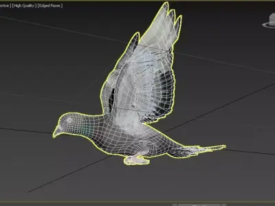 Pigeon Medium Detail Animated Free 3D model purchase