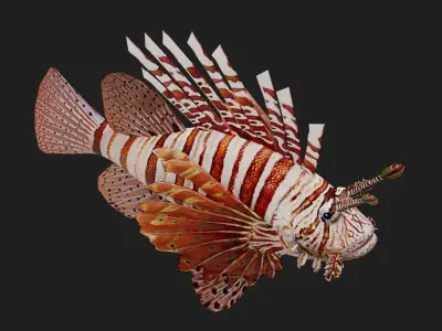 Lionfish Low-poly 3D model purchase