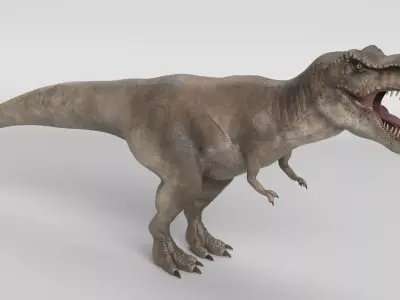 Tyrannosaurus Rex 3D model 8