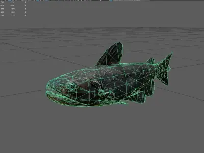 Catfish Low-poly 3D model order
