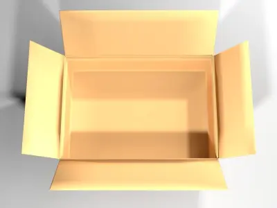 Cardboard Box - Rectangular Low 3D model
