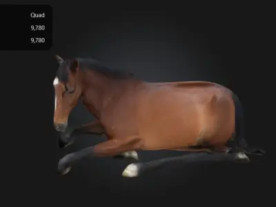 a horse sitting on the ground Low-poly 3D model
