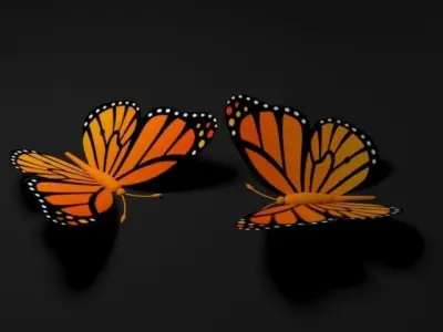 Butterfly 3D model 5