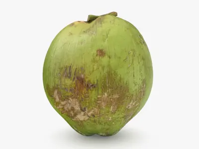 Green Coconut Collection 2 3D model