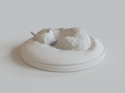 Cat sleeping on a pillow 3d Scan 3D model