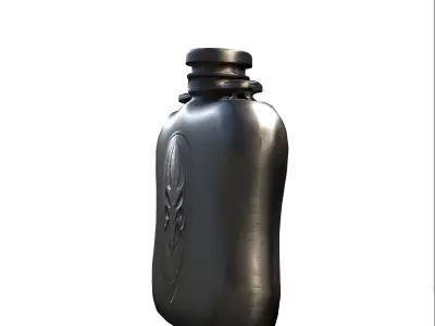 Flask Skull Low-poly 3D model