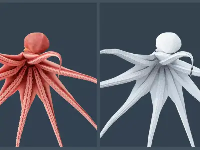 Animated Giant Pacific Octopus Free 3D model purchase