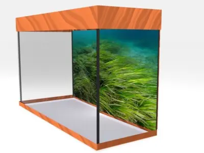 aquarium glass case with grass in it Low-poly 3D model