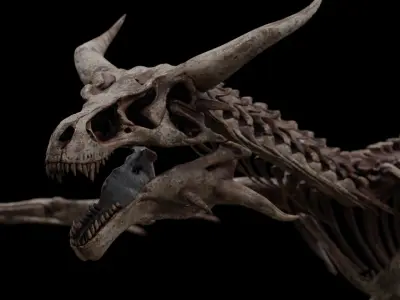 Dragon Wyvern Skeleton Low-poly 3D model