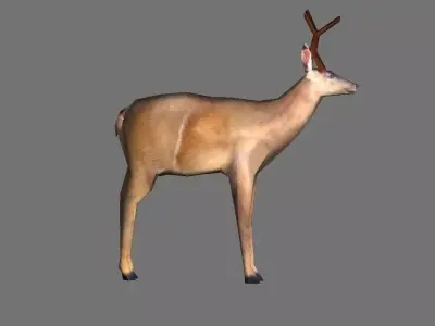 Brown Deer Low Poly Low-poly 3D model