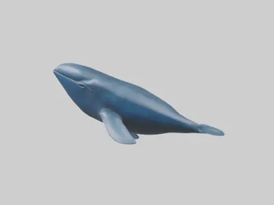 Blue Whale statue model Low-poly 3D model