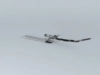JAL Airlines Flight 79  Free 3D model