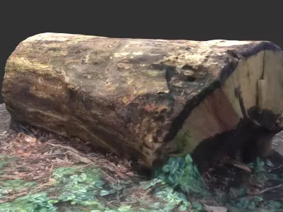 3D sawn of tree part 2 Low-poly 3D model