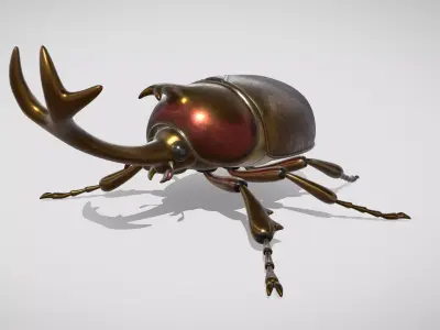 beetle 3D model get