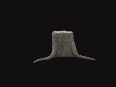 Medieval Tree Trunk V02 Low-poly 3D model