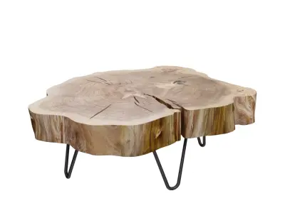 Rustic Tree Slice Coffee Table 3D model