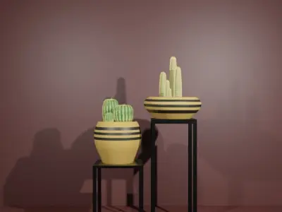 Indoor plant cactus Free low-poly 3D model