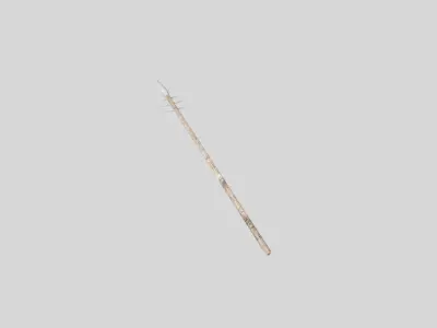 low poly medieval spear 1 Low-poly 3D model