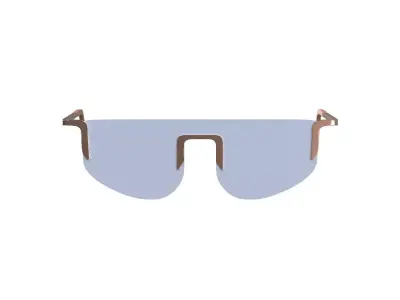 Sky Tint Sunglasses 3D model