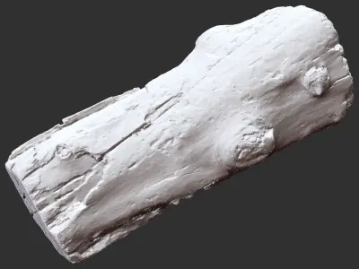 3d scan of tree trunk in highpoly 3D model