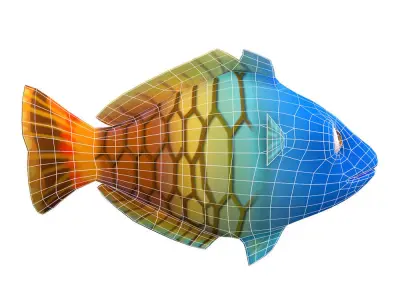 Boesemani Rainbow fish animated Low-poly 3D model