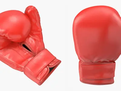 Boxing Gloves Fighting Pose 3D Model