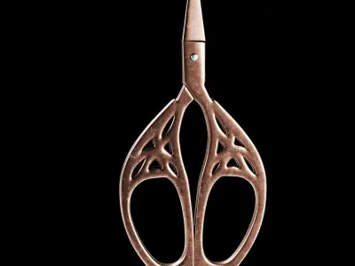 Vintage Scissors  Set of 5 3D model