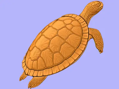TARTARUGA 3D model