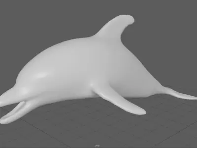 dolphin Low-poly 3D model get