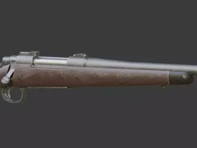 Remington 700 CDL 2 Free 3D model